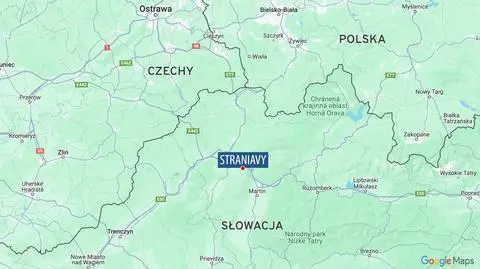 Trwa obława na postrzelonego niedźwiedzia. Zwierzę może być agresywne