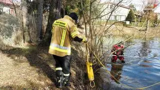 Poszukiwania Aleksandry i jej córki Oliwii