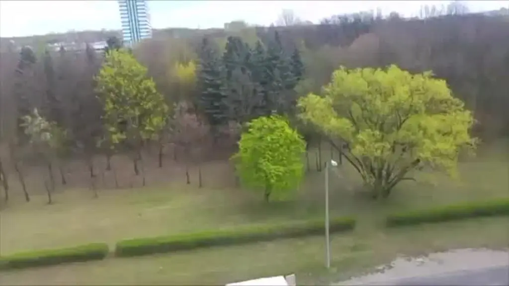 ustawka_nowe