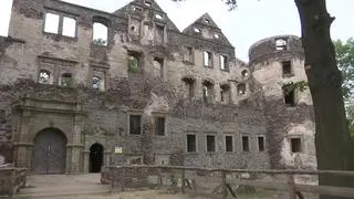 Zamek Świny