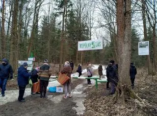 O ocalenie lasu walczą społecznicy ze Stowarzyszenia Okolica