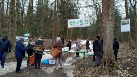 Ocalić Las Solnicki chcą też społecznicy