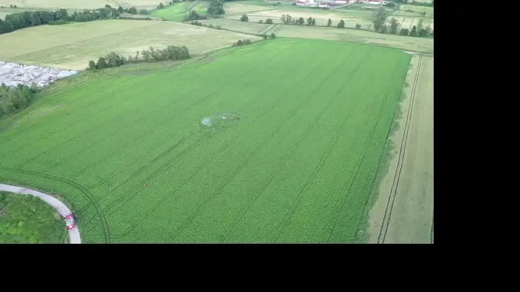 strzegom ok