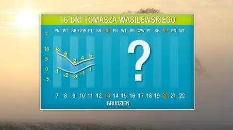 Wasilewskiego pogoda na 16 dni: mróz i ciepło - starcie nad Polską