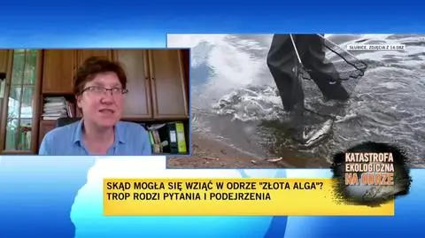 Joanna Podlasińsą 1