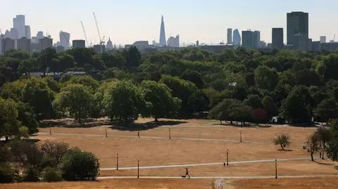 Park Primrose Hill w Londynie