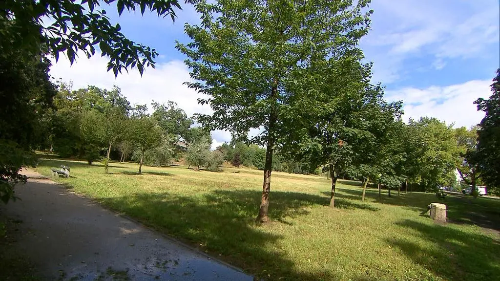 Park, w którym doszło do ataku