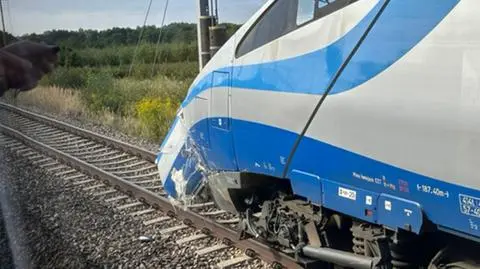 Łoś wpadł pod pociąg pendolino