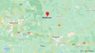 Do zdarzenia doszło w Wolbromiu
