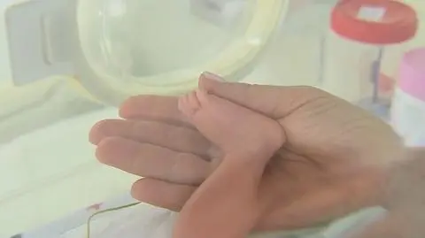 Pół tysiąca dzieci urodzonych dzięki programowi in vitro w Łodzi