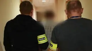 66-latkowi grozi nawet 25 lat więzienia