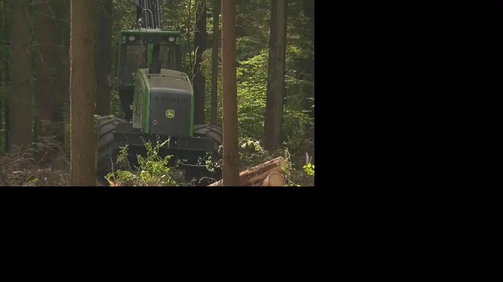 Logging is protecting measures Minister Jan Szyszko says