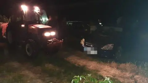 Właściciel plantacji udaremnił ucieczkę złodzieja malin