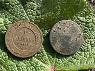 W ziemi leżała też kopiejka z 1904 roku 