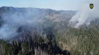 Pożar lasów w Parku Narodowym Czeska Szwajcaria