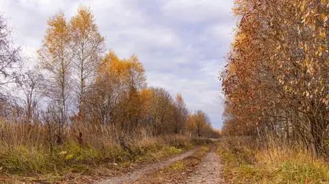 Pochmurna środa