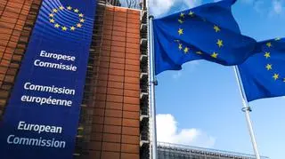 The European Commission