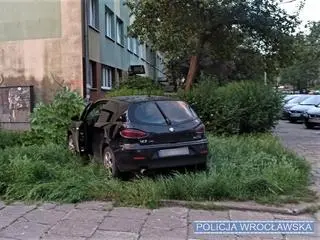 Ucieczkę przed policją zakończył na drzewie