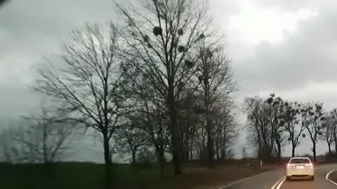 zatrzymanie obywatelskie