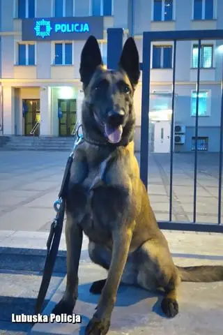 Lara na emeryturę przeszła na początku września