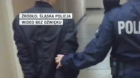 policja