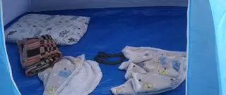 W namiocie pojawił się nieproszony gość