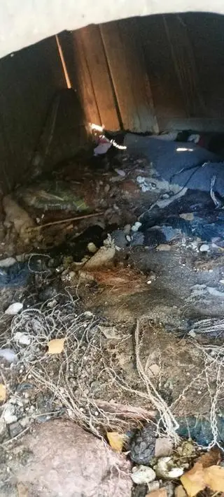 Psy były trzymane w niewłaściwych warunkach 