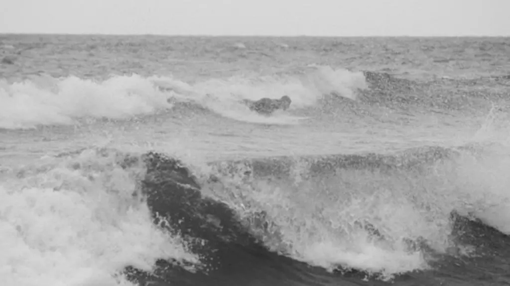 Surfing w Polsce
