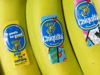 Banany Chiquita