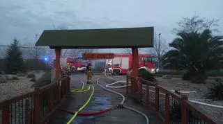 Pożar w zoo w Borysewie