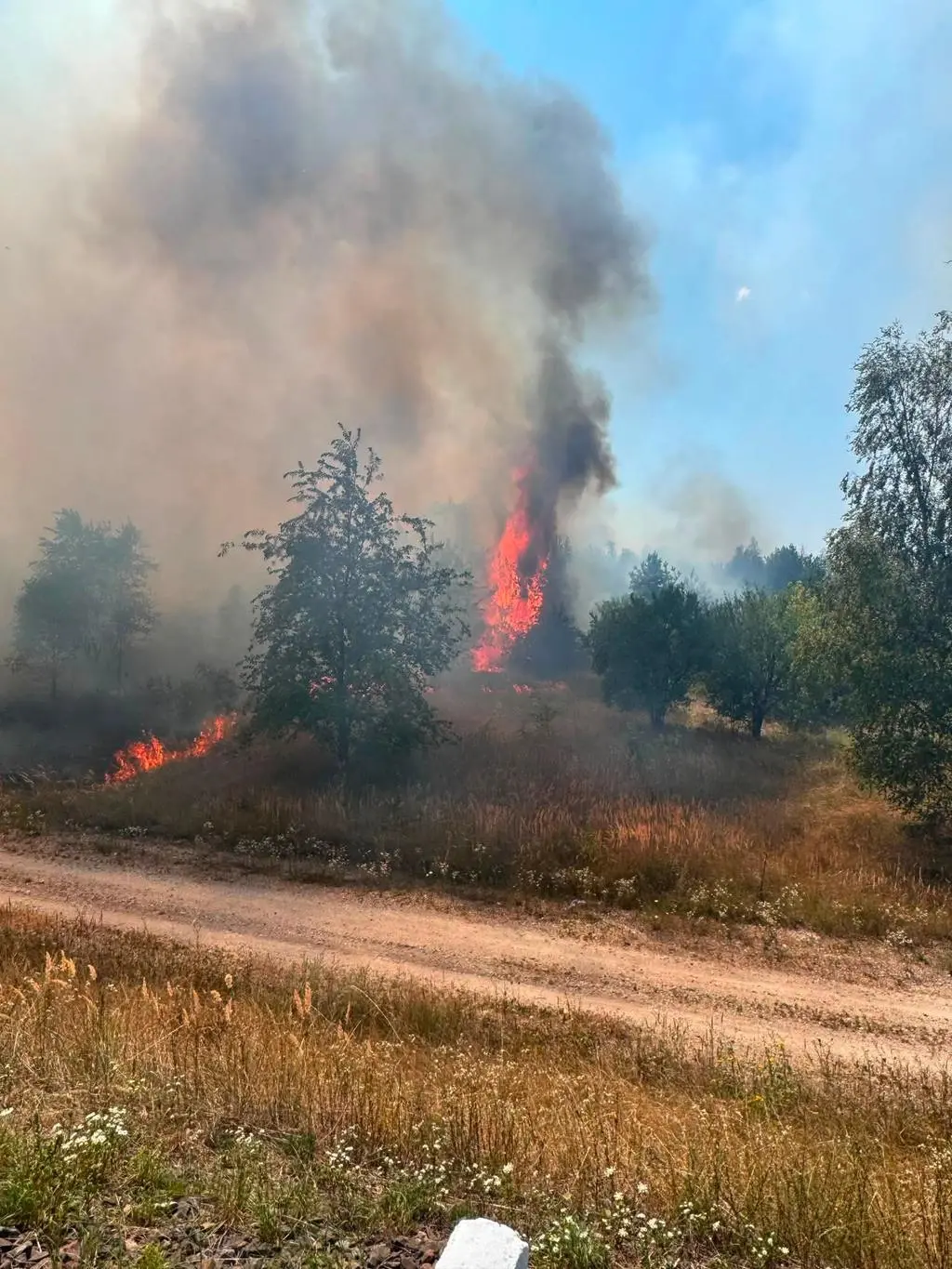 Płonęły lasy i nieużytki