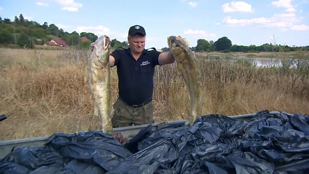 Sprzątanie rzeki na terenie województwa lubuskiego