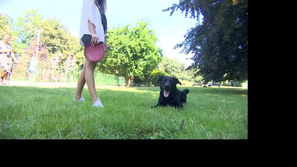 2008N205XR PIS DNZ RABIEGA PSY