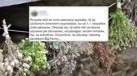 Od stycznia w Unii "wszystkie zioła zakazane"? Nieprawda