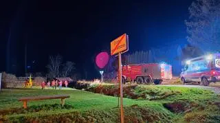 Atak niedźwiedzia w Bieszczadach. Ranny mężczyzna w szpitalu