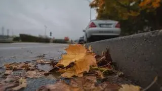 Pochmurna jesień
