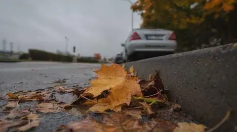 Pochmurna jesień