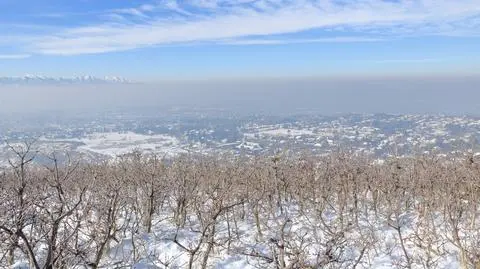 Czy "pożerające smog" chodniki mogą poprawić jakość powietrza w tym mieście?