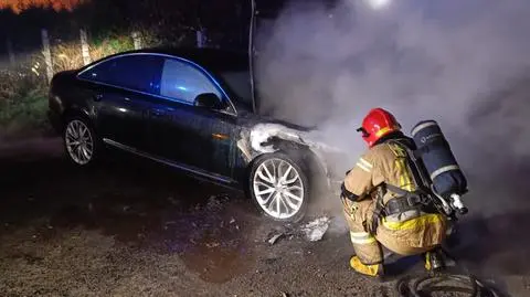 Pożar samochodów w Zabrzu