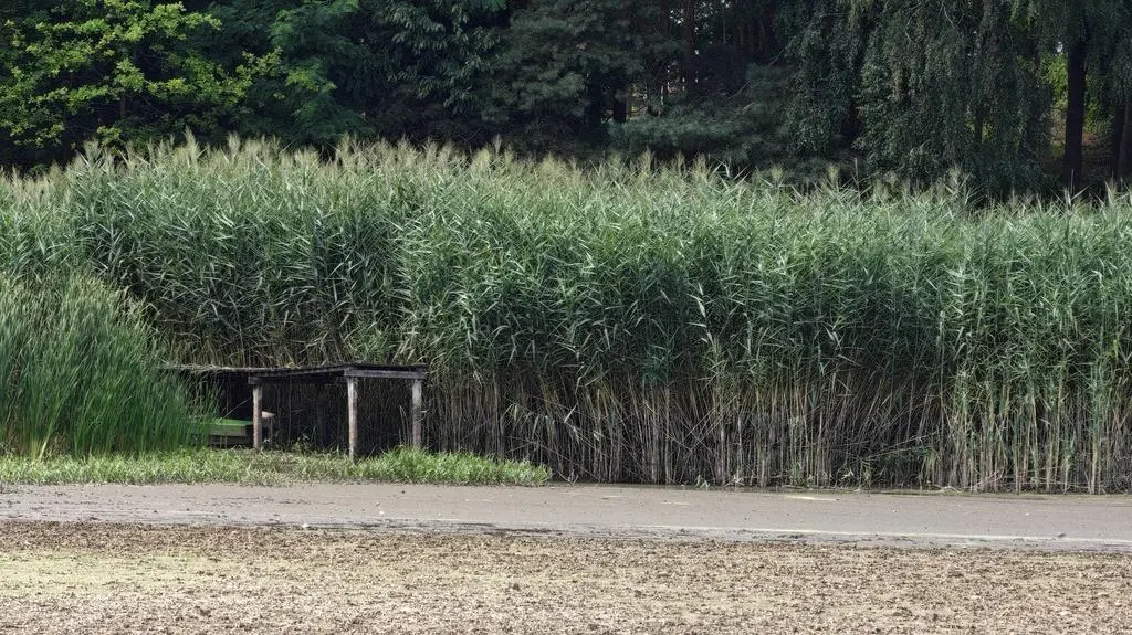 Pomost wędkarski w Barkowicach