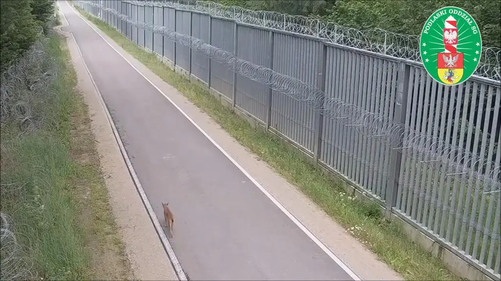 Potem spacerował drogą 
