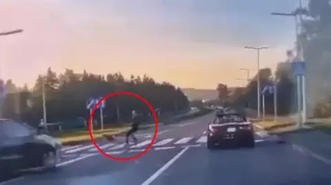 Potrącenie pieszego na pasach
