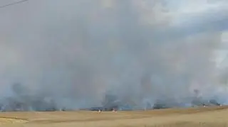 30 hektarów zboża w ogniu