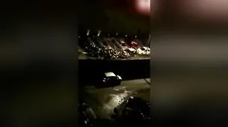 Bitwa kiboli w Rzeszowie