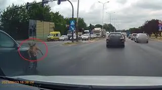 Na skrzyżowanie wbiegła sarna i wpadła na dwa samochody