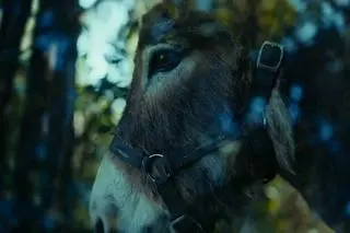 Kadr z filmu "IO" Jerzego Skolimowskiego