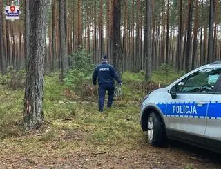 Okolice miejsca, w którym policja znalazła zwłoki mężczyzny i dziecka 
