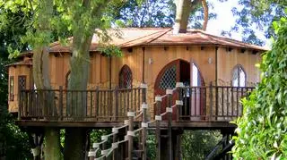 Treehouse - luksusowe domki na drzewie