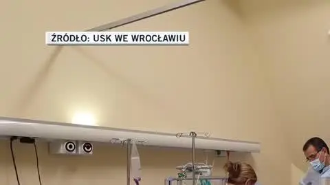 igor 