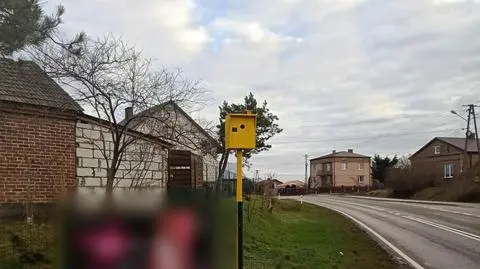 Budka dla ptaków jest łudząco podobna do fotoradaru 